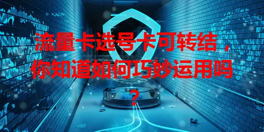 流量卡选号卡可转结，你知道如何巧妙运用吗？