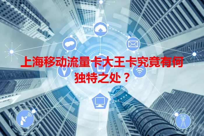 上海移动流量卡大王卡究竟有何独特之处？