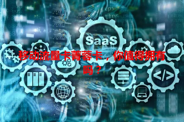 移动流量卡菁蓉卡，你值得拥有吗？