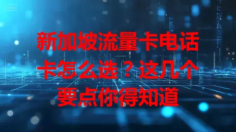 新加坡流量卡电话卡怎么选？这几个要点你得知道