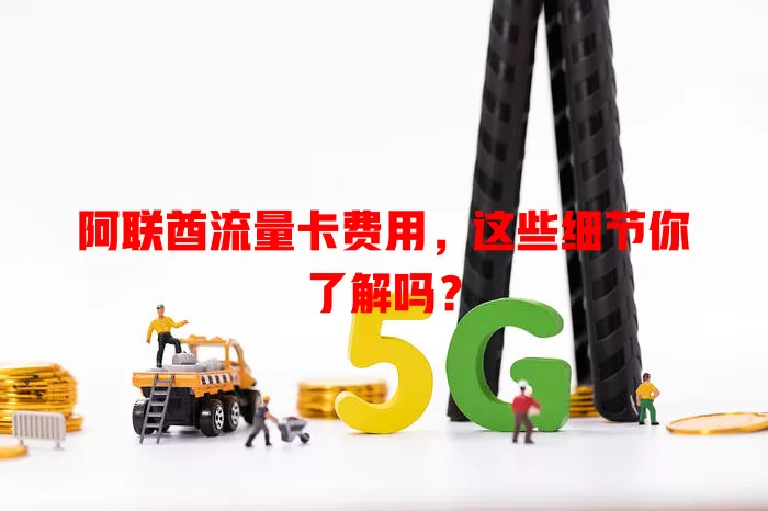 阿联酋流量卡费用，这些细节你了解吗？