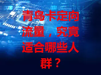 青鸟卡定向流量，究竟适合哪些人群？