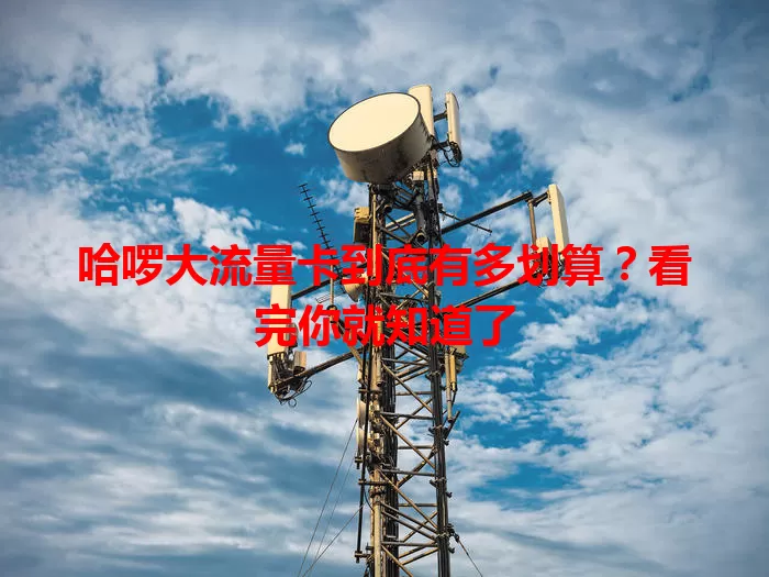哈啰大流量卡到底有多划算？看完你就知道了