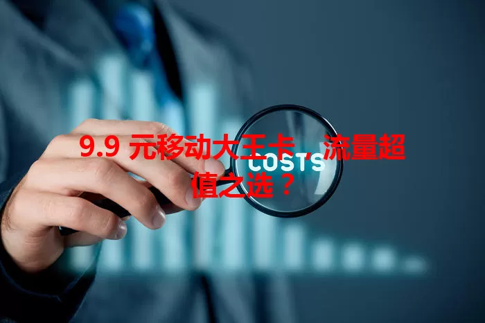 9.9 元移动大王卡，流量超值之选？