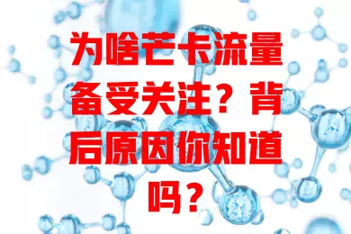 为啥芒卡流量备受关注？背后原因你知道吗？