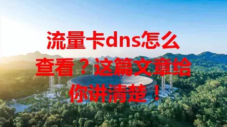 流量卡dns怎么查看？这篇文章给你讲清楚！