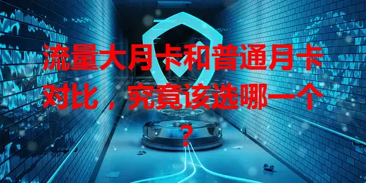 流量大月卡和普通月卡对比，究竟该选哪一个？