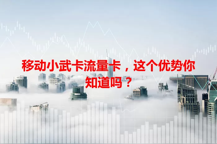 移动小武卡流量卡，这个优势你知道吗？