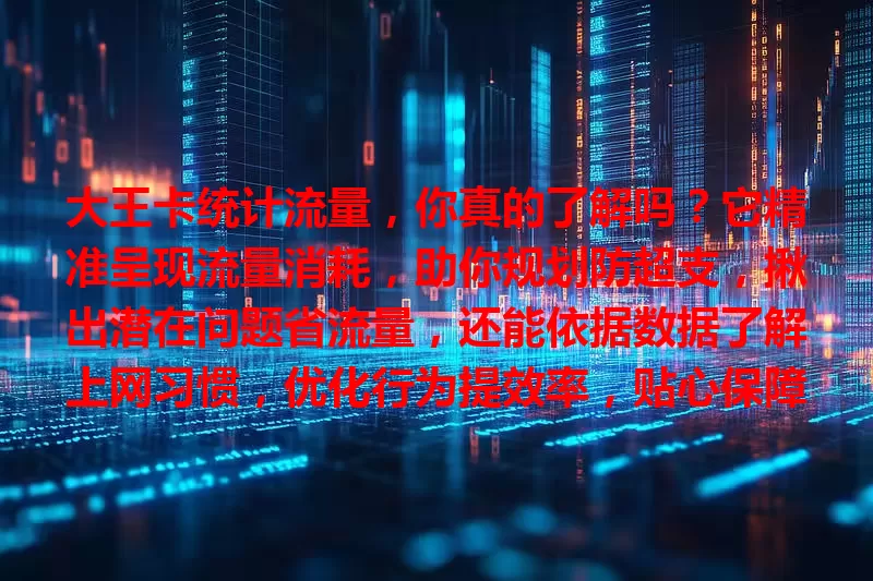 大王卡统计流量，你真的了解吗？它精准呈现流量消耗，助你规划防超支，揪出潜在问题省流量，还能依据数据了解上网习惯，优化行为提效率，贴心保障上网体验！
