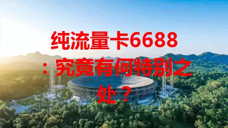 纯流量卡6688：究竟有何特别之处？