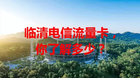 临清电信流量卡，你了解多少？
