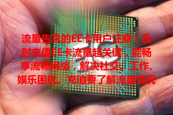 流量告急的EE卡用户注意！及时充值EE卡流量超关键，能畅享流畅网络，解决社交、工作、娱乐困扰。充值要了解流量情况选套餐，选正规便捷方式，保障网络生活质量，开启畅快之旅