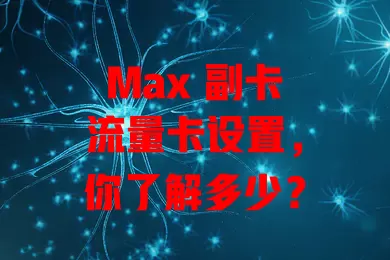 Max 副卡流量卡设置，你了解多少？