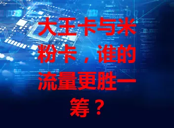 大王卡与米粉卡，谁的流量更胜一筹？