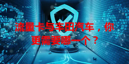 流量卡与丰田汽车，你更需要哪一个？