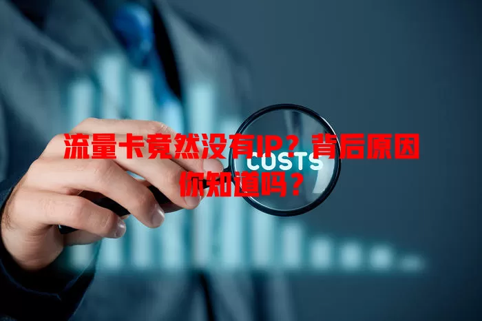 流量卡竟然没有IP？背后原因你知道吗？