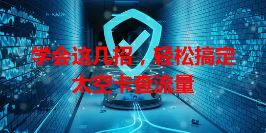 学会这几招，轻松搞定太空卡查流量