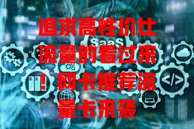 追求高性价比流量的看过来！网卡推荐流量卡来袭

数字化时代网络超重要，流量卡影响上网体验。选流量卡得关注额度，重度用户选高流量，偶尔用选低流量。网速要稳定快速，费用也别忽视。市面上流量卡多样，结合自身挑，让网络添便利