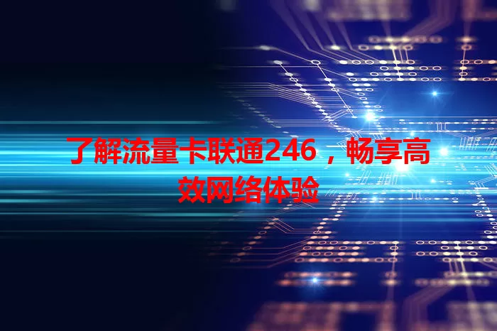 了解流量卡联通246，畅享高效网络体验