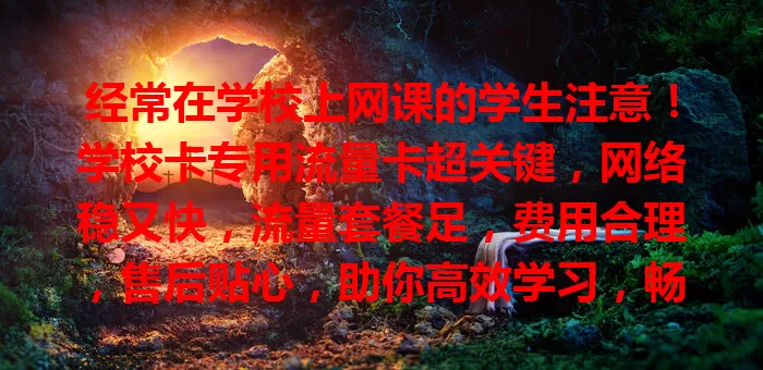 经常在学校上网课的学生注意！学校卡专用流量卡超关键，网络稳又快，流量套餐足，费用合理，售后贴心，助你高效学习，畅享网课便利！