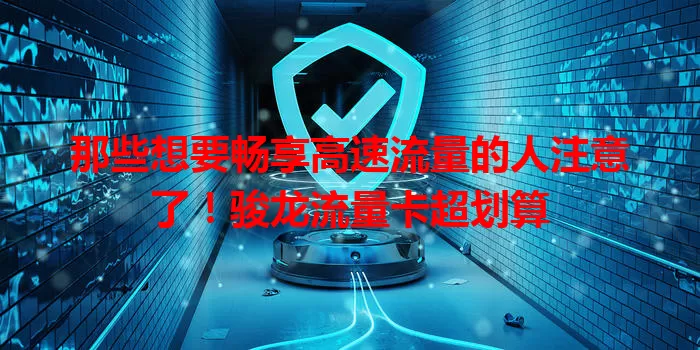 那些想要畅享高速流量的人注意了！骏龙流量卡超划算