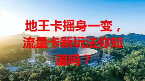 地王卡摇身一变，流量卡新玩法你知道吗？