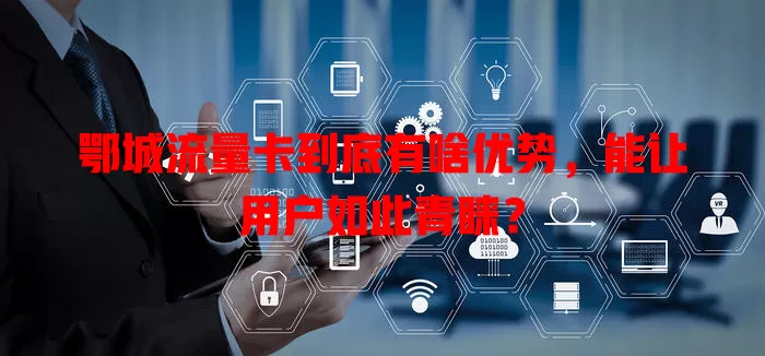 鄂城流量卡到底有啥优势，能让用户如此青睐？