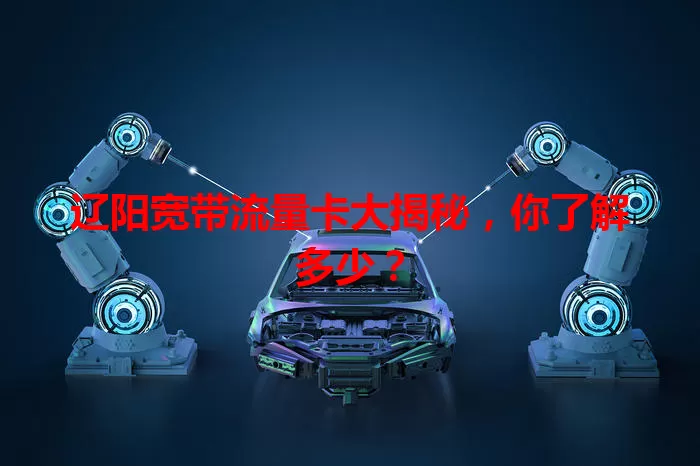 辽阳宽带流量卡大揭秘，你了解多少？