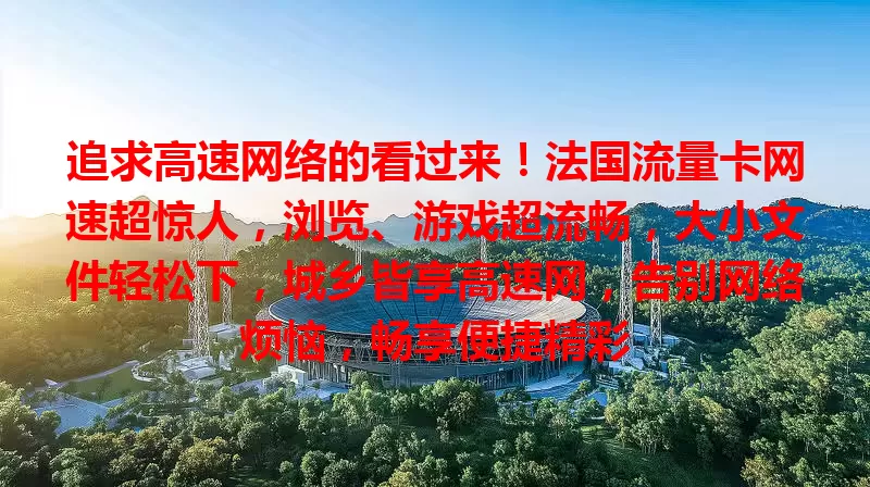追求高速网络的看过来！法国流量卡网速超惊人，浏览、游戏超流畅，大小文件轻松下，城乡皆享高速网，告别网络烦恼，畅享便捷精彩