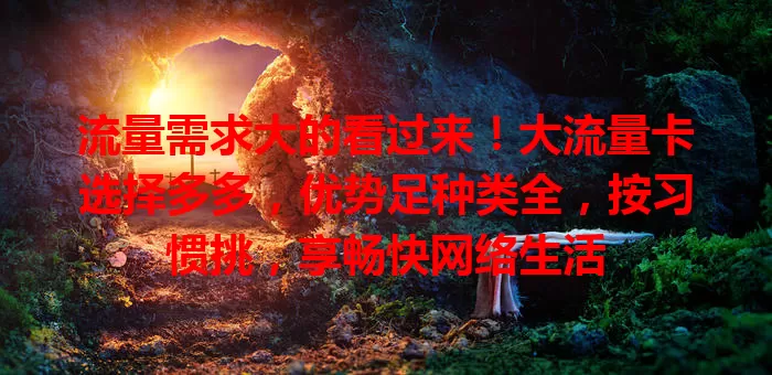 流量需求大的看过来！大流量卡选择多多，优势足种类全，按习惯挑，享畅快网络生活