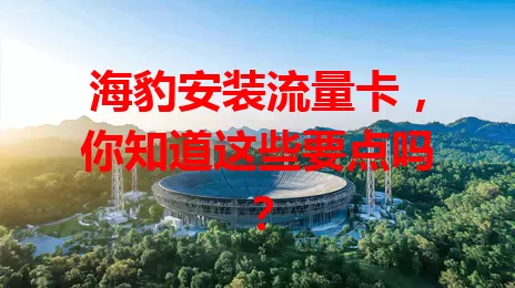 海豹安装流量卡，你知道这些要点吗？