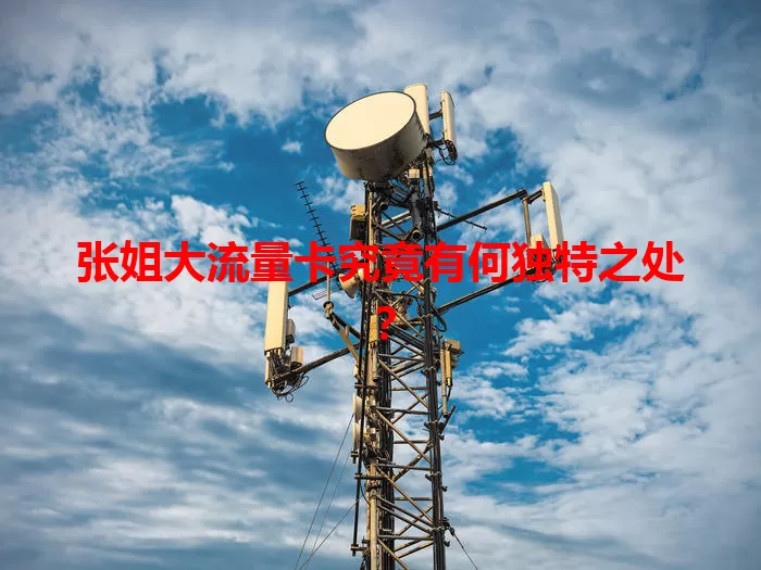 张姐大流量卡究竟有何独特之处？