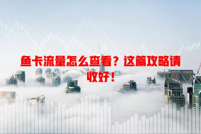 鱼卡流量怎么查看？这篇攻略请收好！