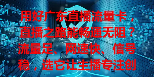 用好广东直播流量卡，直播之路能畅通无阻？流量足、网速快、信号稳，选它让主播专注创作互动，从容展示才艺，吸引更多观众，开启直播新篇章