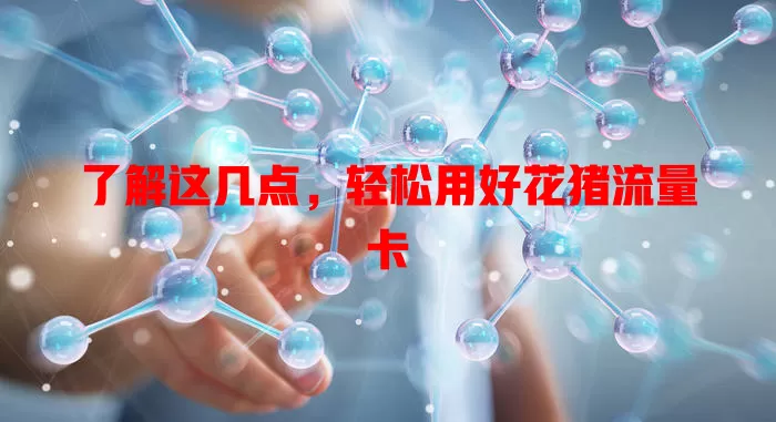 了解这几点，轻松用好花猪流量卡