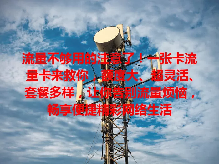 流量不够用的注意了！一张卡流量卡来救你，额度大、超灵活、套餐多样，让你告别流量烦恼，畅享便捷精彩网络生活