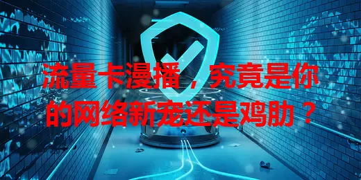 流量卡漫播，究竟是你的网络新宠还是鸡肋？