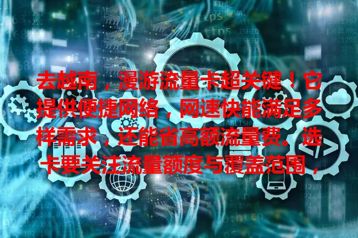 去越南，漫游流量卡超关键！它提供便捷网络，网速快能满足多样需求，还能省高额流量费。选卡要关注流量额度与覆盖范围，挑对卡让越南之行更精彩，你了解多少？