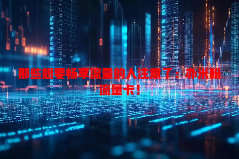 那些想要畅享流量的人注意了：办米粉流量卡！
