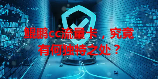 鲲鹏cc流量卡，究竟有何独特之处？