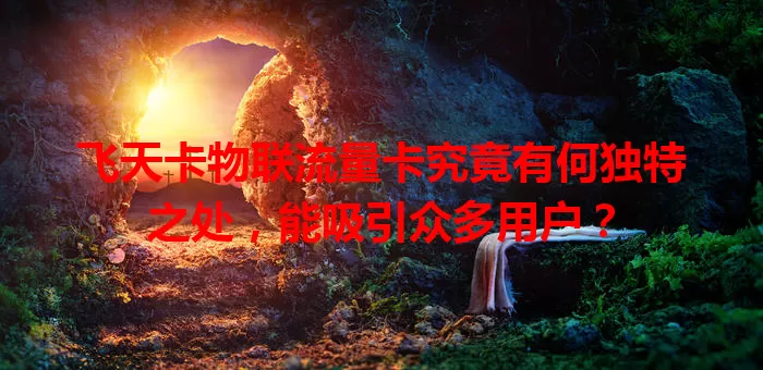 飞天卡物联流量卡究竟有何独特之处，能吸引众多用户？