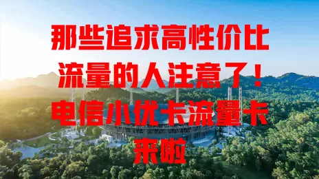 那些追求高性价比流量的人注意了！电信小优卡流量卡来啦