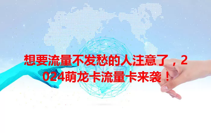 想要流量不发愁的人注意了，2024萌龙卡流量卡来袭！