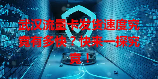 武汉流量卡发货速度究竟有多快？快来一探究竟！