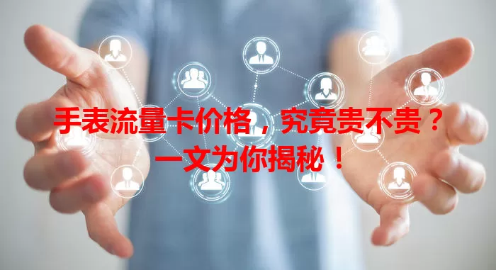 手表流量卡价格，究竟贵不贵？一文为你揭秘！