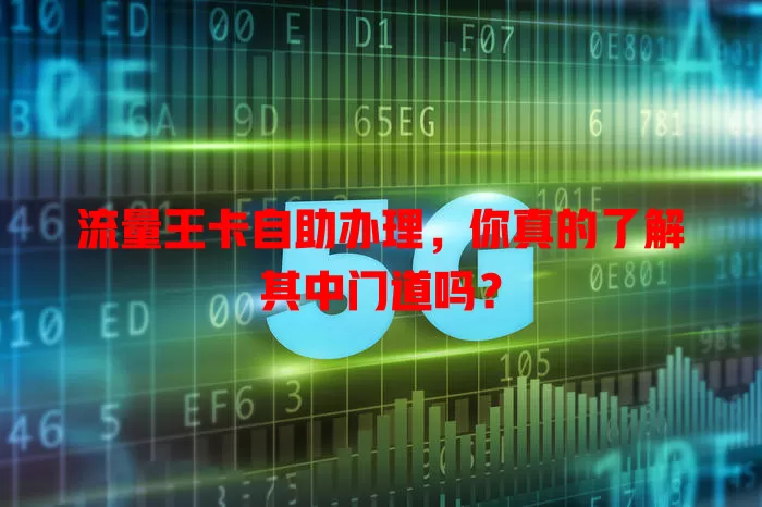 流量王卡自助办理，你真的了解其中门道吗？