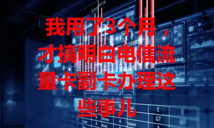 我用了3个月，才搞明白电信流量卡副卡办理这些事儿