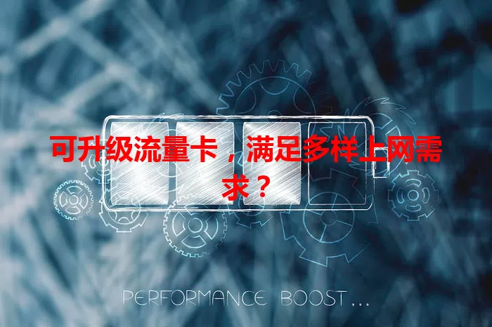 可升级流量卡，满足多样上网需求？