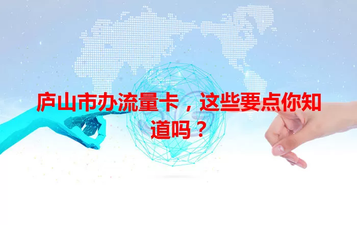 庐山市办流量卡，这些要点你知道吗？