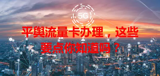 平舆流量卡办理，这些要点你知道吗？